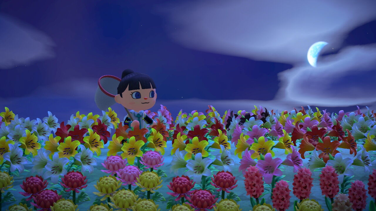 あつまれどうぶつの森 島滞在日記６月 ７月 前編 とらつぐみのつぶやき