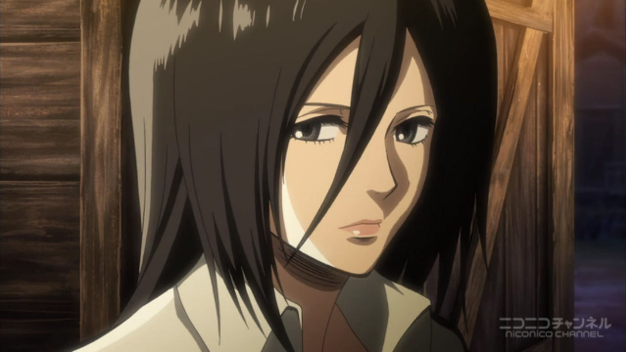 アニメシリーズ 進撃の巨人 を終えての感想を とらつぐみのつぶやき アニメシリーズ 進撃の巨人 を終えての感想を とらつぐみのつぶやき