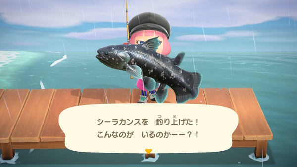 とらつぐみのつぶやき