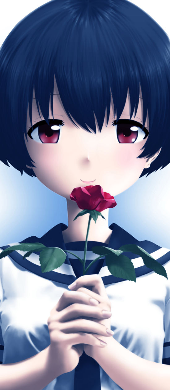 ９月制作イラストの紹介 とらつぐみのつぶやき