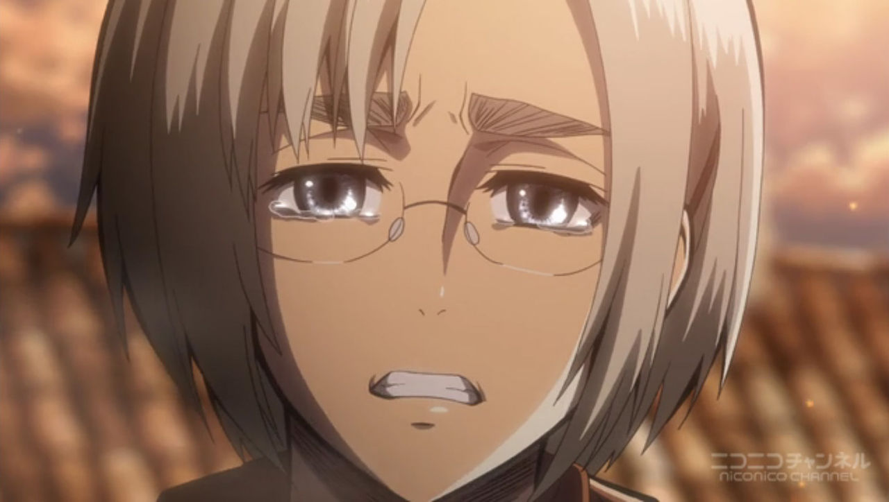 アニメシリーズ 進撃の巨人 を終えての感想を とらつぐみのつぶやき