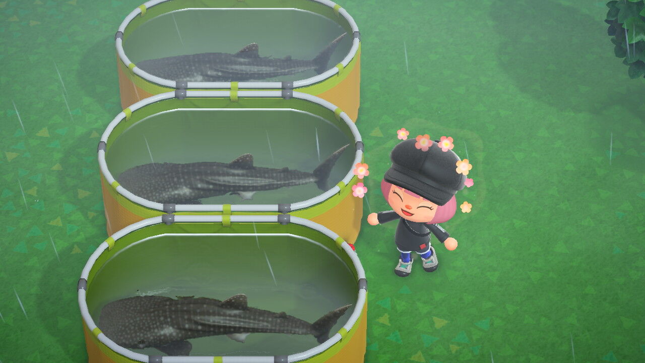 あつまれどうぶつの森 島滞在日記6月 7月 前編 とらつぐみのつぶやき あつまれどうぶつの森 島滞在日記6月 7月 前編 とらつぐみのつぶやき