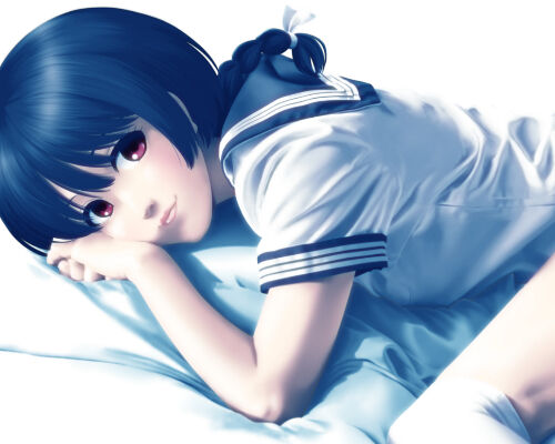 ２０２２年冬期アニメ感想 明日ちゃんのセーラー服 原作版 とらつぐみのつぶやき