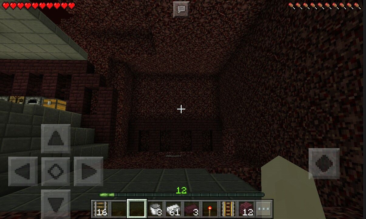 ネザー鉄道計画始動 サーモン村日記