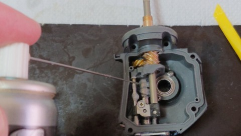 DSC_0000_BURST20200129114200032