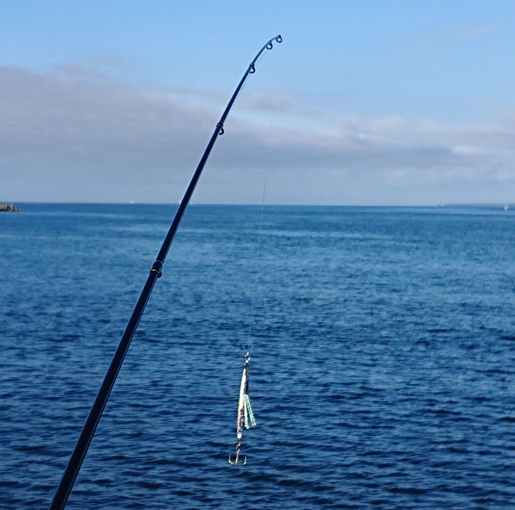 ライトショアジギング用にメジャークラフト Crx 902ssj 購入 Toraziroの釣行記