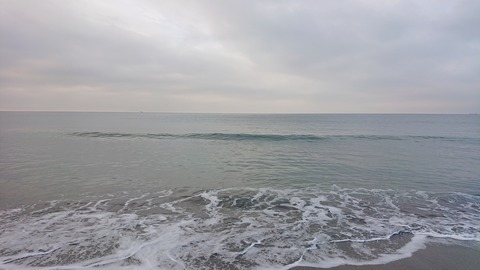 DSC_1182