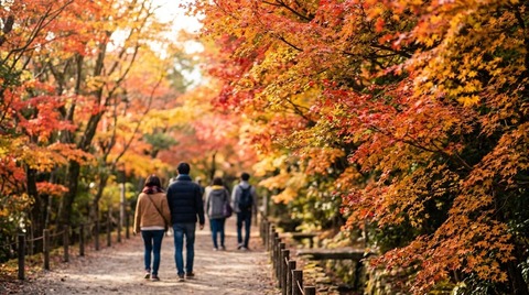 6745a179-02c3-45a7-aeb2-97c3788bc02b
