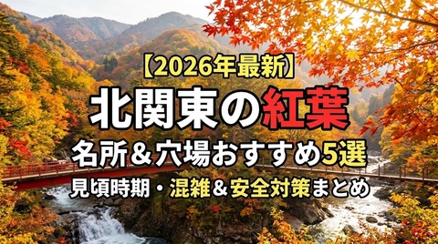 3e856025-6956-4706-8084-80040d864346