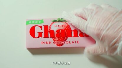 “アポロ専用のチョコレートプリンを作った猛者あらわる！