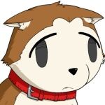 犬山わんこ