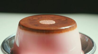 “アポロ専用のチョコレートプリンを作った猛者あらわる！