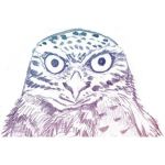 ポイ