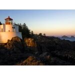 灯台デモクラシー