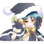 一般花騎士ボーダー団長