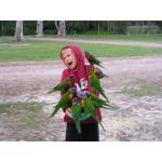 ネットで拾った画像