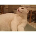 まうら