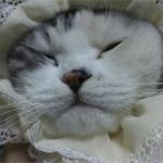 ちーさん