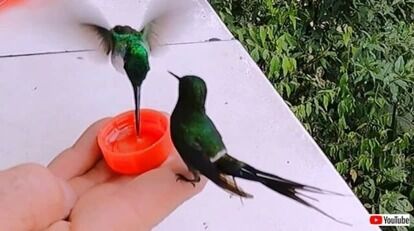 20221014_112344 (8)_batch