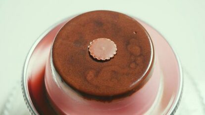 “アポロ専用のチョコレートプリンを作った猛者あらわる！