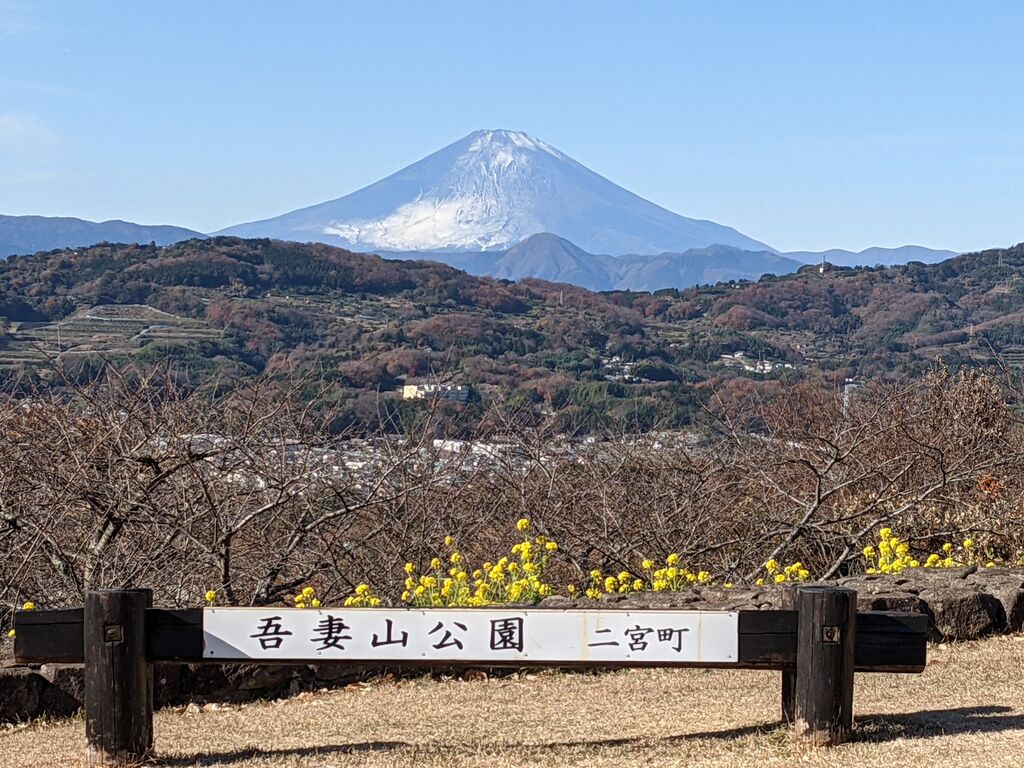 富士山が見える低山 私的ベスト10 ひこじいの遊んで暮らす生活