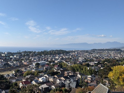 PXL_20201128_002913278