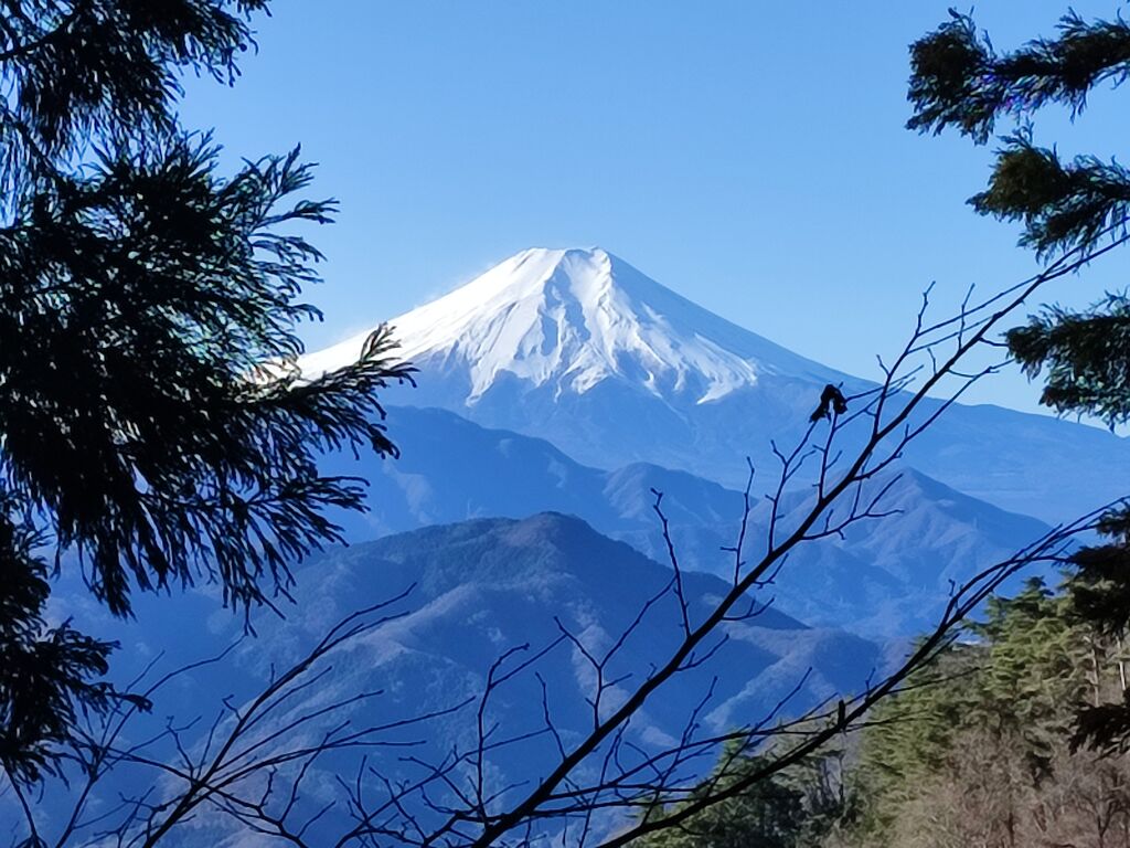 【登山】低山登山#83（扇山・秀麗富嶽十二景 No.6） : 鉄旅＆登山ライフ