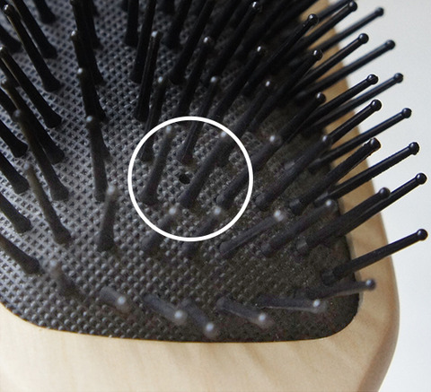 240526_paddlebrush05