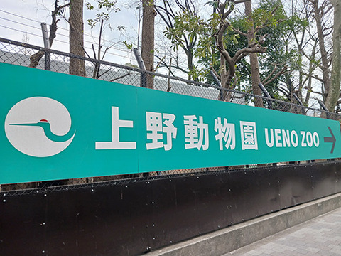 動いてるパンダを見るために上野動物園へ