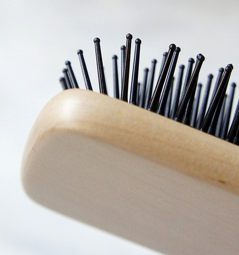 240526_paddlebrush04