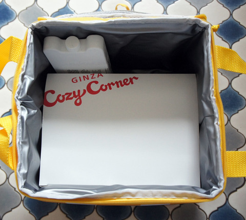 mario_coolerbag13