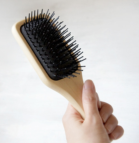 240526_paddlebrush03
