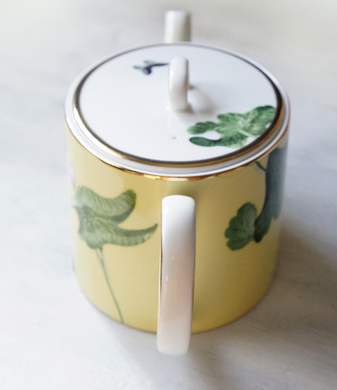 230409_wonderlust_waterlily05