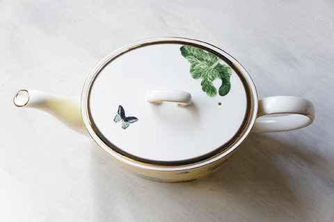 230409_wonderlust_waterlily04