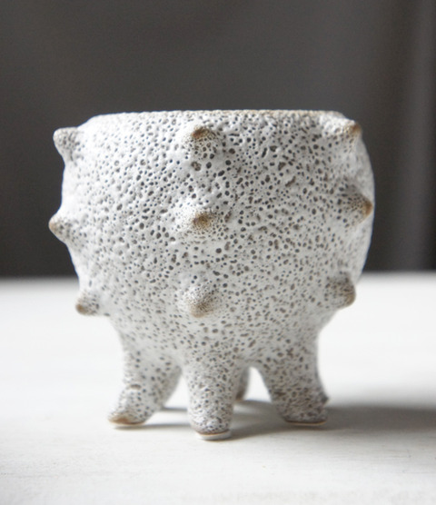 SOLSO HOME日本橋店でトゲトゲした鉢を購入