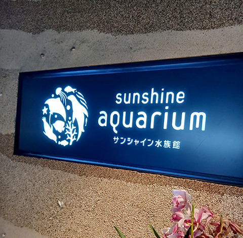 値上げ前に初サンシャイン水族館へ