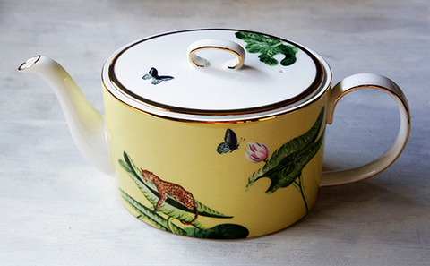 230409_wonderlust_waterlily02