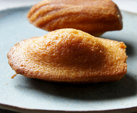 成城石井のプレーンマドレーヌを購入