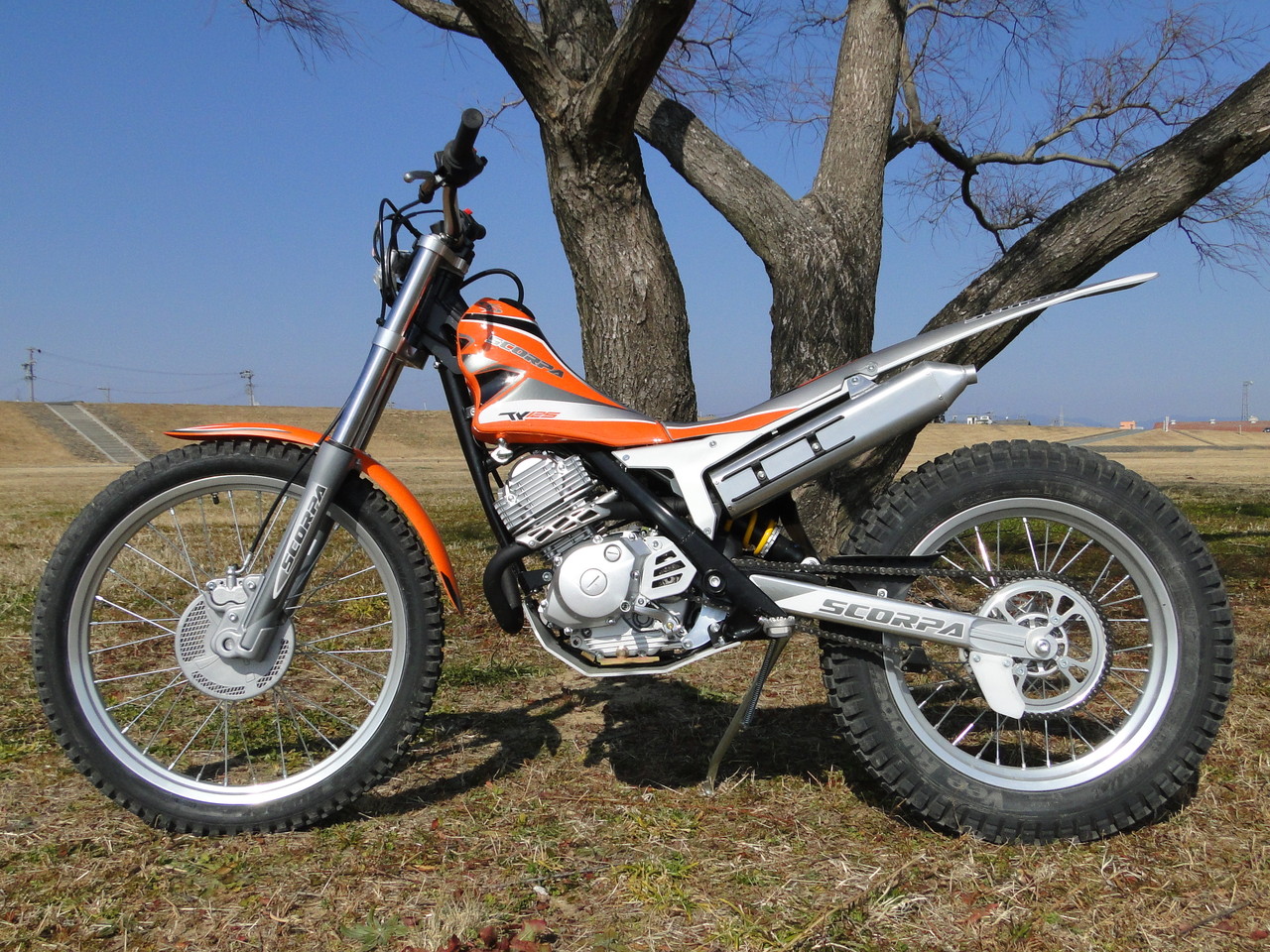 スコルパ　TY125 セル付き　実働　状態良 スコルパ TY125 セル付き 実働 状態良 本物のトライアル車両 スコルパ