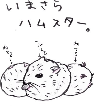 あほかわいい とりぶう の 読むコント 宮古島