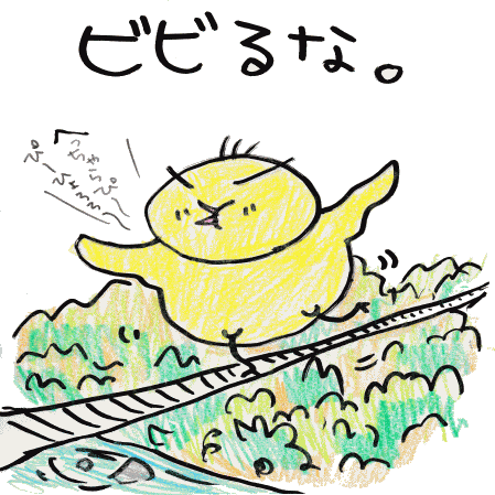 ひとことであらわす四字熟語 とりぶう の 読むコント 宮古島 ひとことであらわす四字熟語 とりぶう の 読むコント 宮古島
