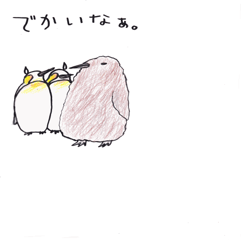 でかいなあ とりぶう の 読むコント 宮古島 でかいなあ とりぶう の 読むコント 宮古島