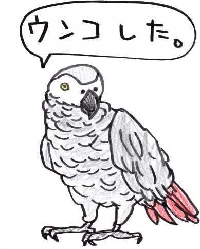ヨウム とりぶう の 読むコント 宮古島