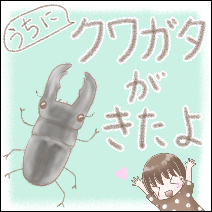 クワガタがやってきた いろ鳥どり日記