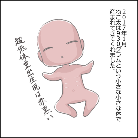 早産1-2