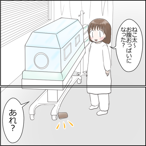 NICU16-4