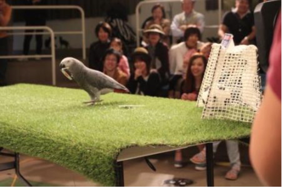 スクリーンショット 2015 07 03 22 39 28