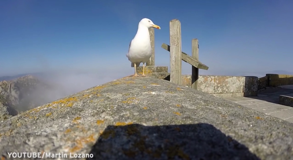 スクリーンショット 2015 07 16 22 01 48