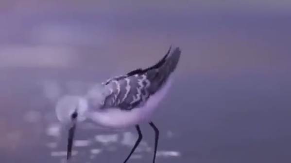 NewImage