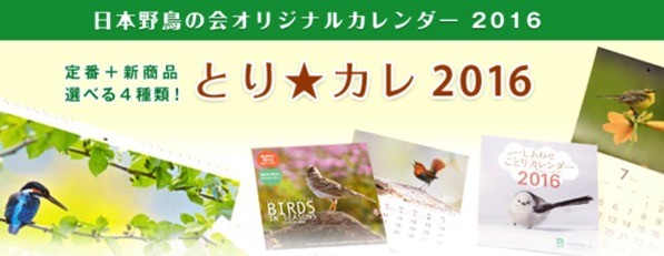 スクリーンショット 2015 09 30 22 06 17